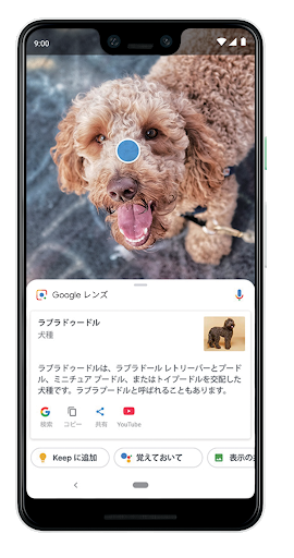 被写体の情報を検索できる「Googleレンズ」