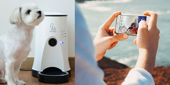 1台でペットの餌やりと見守りができる。画像はGlotureの「pet STATION」