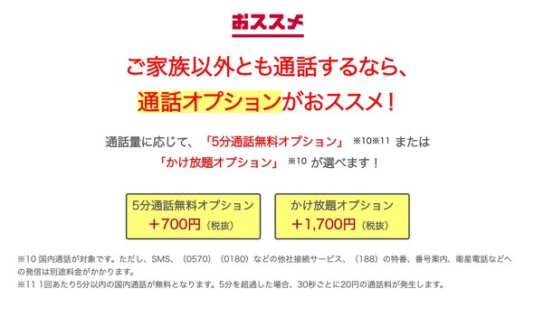 通話オプション