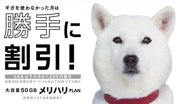 メリハリプラン