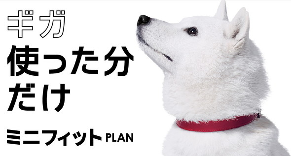 ミニフィットプラン