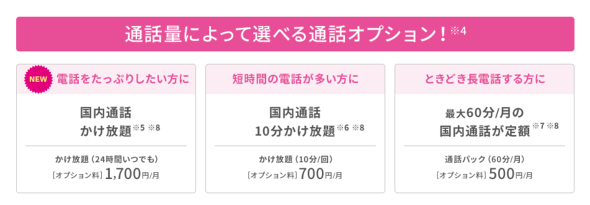 通話オプションは別途選択に