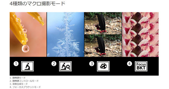ALTテキスト