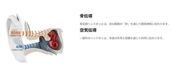 通常の聞こえ方である空気伝導に対し、頭骨の振動で音を伝えるのが骨伝導（出典：AfterShokzのWebサイト）