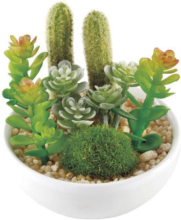 観葉植物：部屋に合うデザインを選ぼう