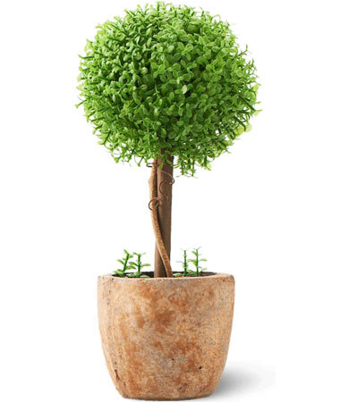 「観葉植物 光触媒 キレイな空気を実感」