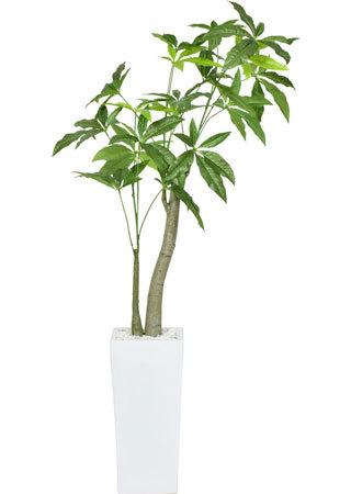 「人工観葉植物 バキラ M」