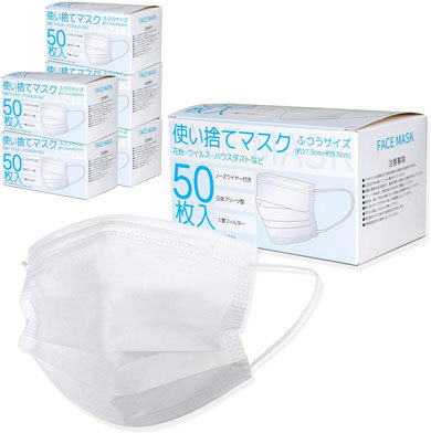 「不織布マスク 大量 300枚」