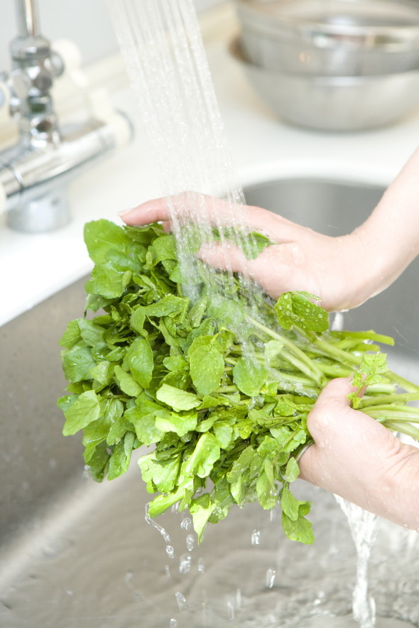 野菜洗い