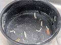 食器の「油汚れ」はどう落とす？　「道具」と「洗い方」をチェックしよう！