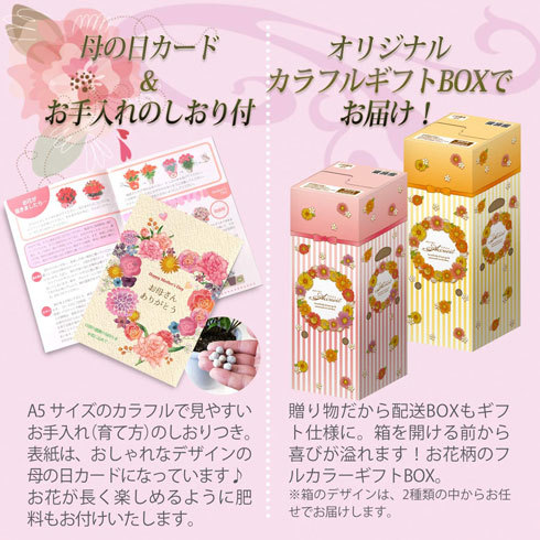 フラワーギフト:メッセージカード付きなら気持ちを伝えやすい