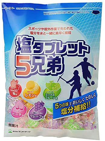 ランドアート「塩タブレット5兄弟」