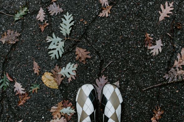 Photo by Kelly Sikkema on Unsplash