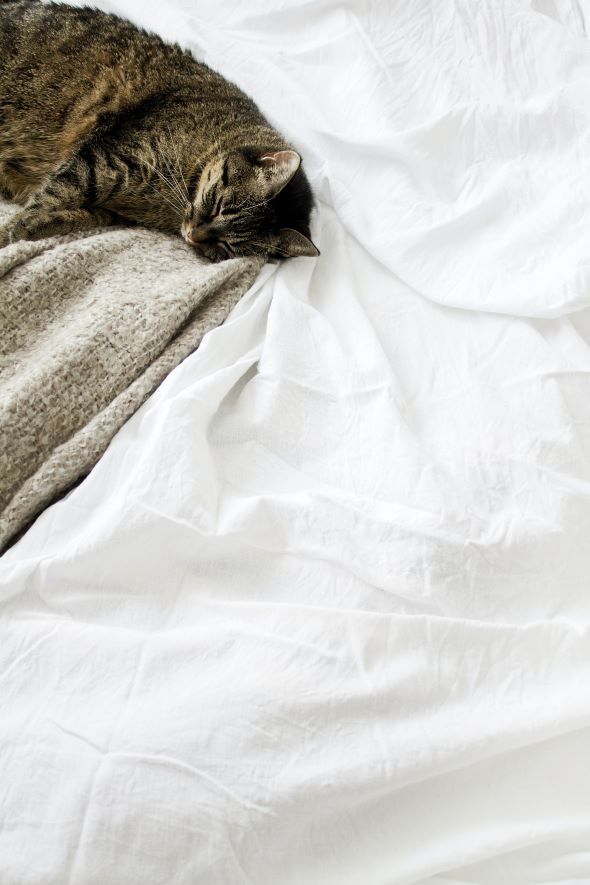 Photo by Sarah Dorweiler on Unsplash