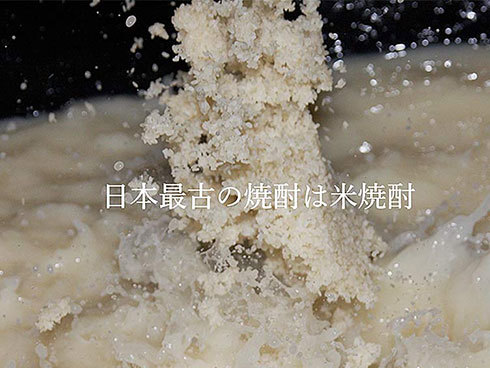 焼酎は原料となる穀物を発酵させ蒸留したお酒