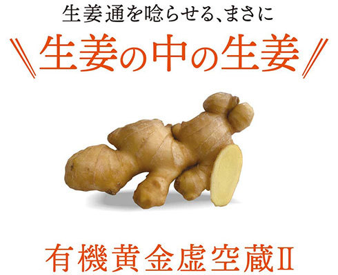 プレミアムマーケティング「生搾り有機生姜シロップ」