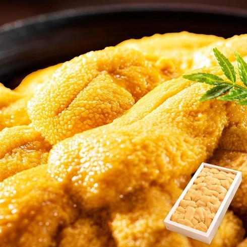 北国からの贈物「生 ウニ 塩水 80g」