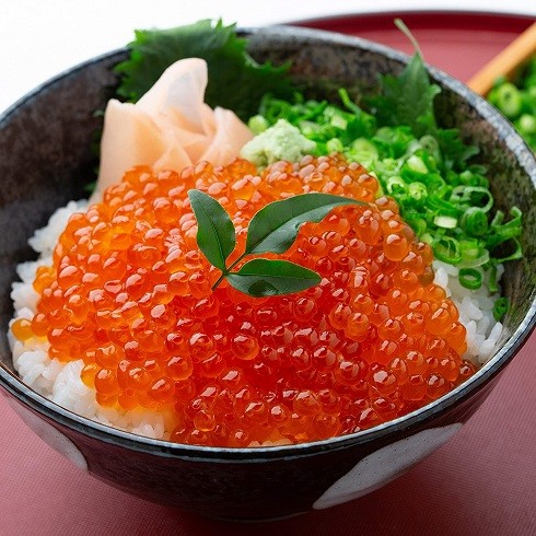 尾張まるはち「いくら 醤油漬け」
