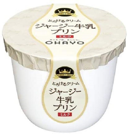 オハヨー乳業 ジャージー牛乳プリン