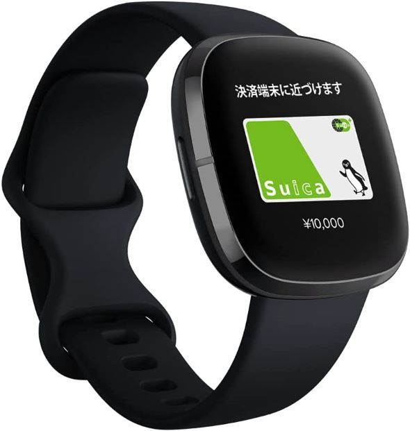 フィットビット12月