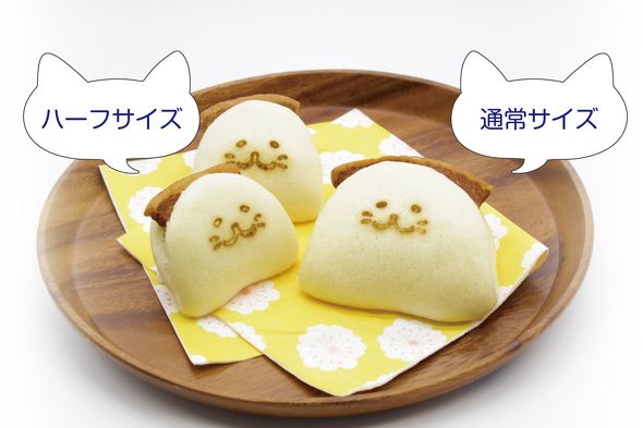 フォト