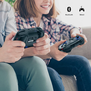 GameSir「T4 Mini」