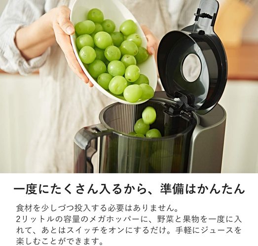 ヒューロム「スロージューサー　H-200」