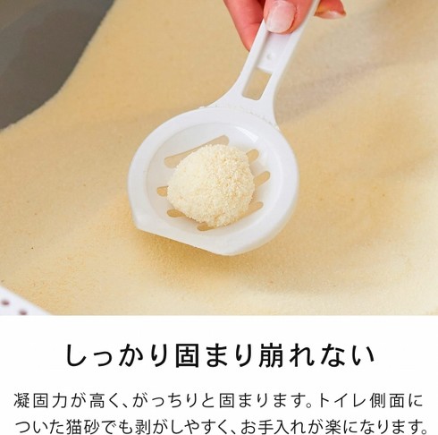 OFT「サスティナブリーユアーズ MULTI-CAT Plus」