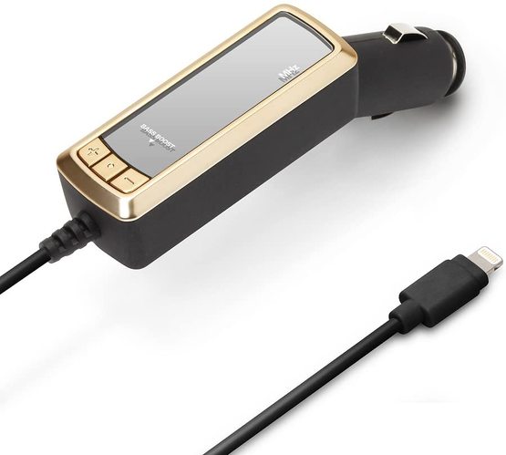 iCharger「FMトランスミッター ゴールド PG-LFM24A01GD」
