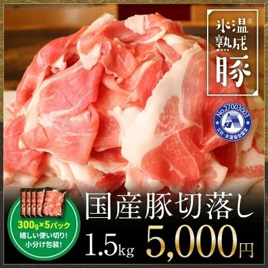 フォト