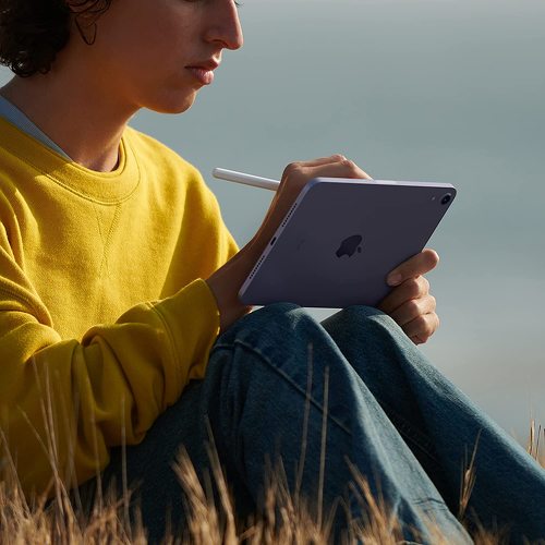 Apple「iPad mini」