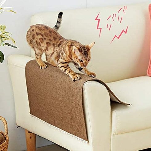 「猫用爪とぎ」おすすめ5選　思わずガリガリ爪をとぎたくなる【2022年最新版】
