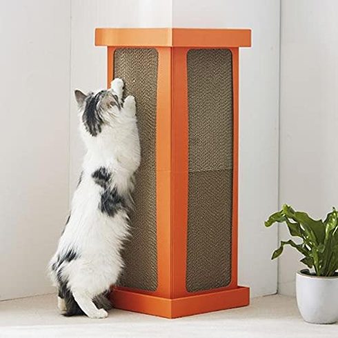 猫用爪とぎ：壁や家具を保護するなら、コーナー型がおすすめ