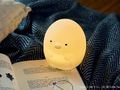 シリーズ累計55万部突破! 新作「すみっコぐらし お部屋ライトBOOK」の予約受付がスタート 手のひらサイズのすみっコたちに癒される