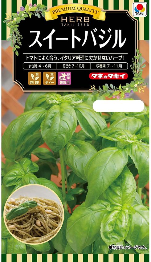 フォト