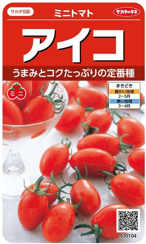 フォト