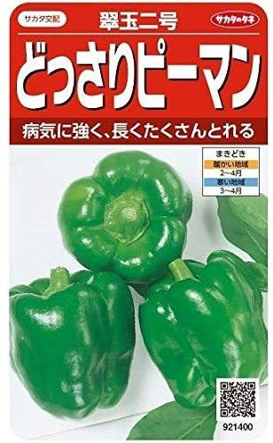 フォト