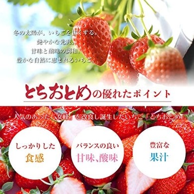母の日 とちおとめ 約240g×2
