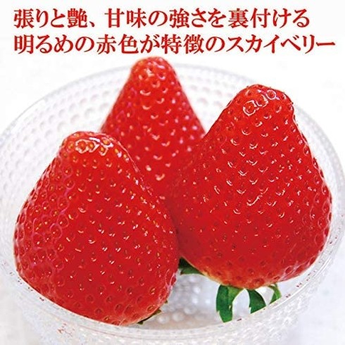 スカイベリー 大粒 280g×2パック