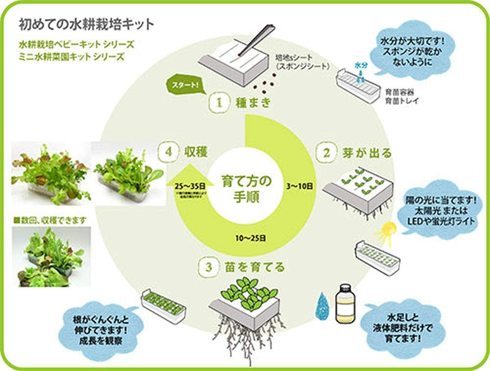 リビングファーム ミニ水耕菜園キット