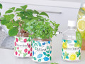 野菜・ハーブの「栽培キット」おすすめ6選 夏に向けて収穫が楽しみ&インテリアとしても【2022年5月版】