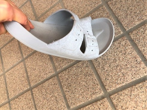 フォト