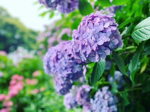 雨のグランピングに持っていくといいもの