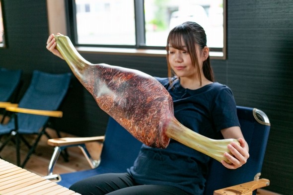 カプコンが「モンスターハンターライズ」関連グッズを発売