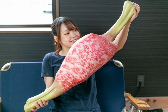 「多目的まくら」