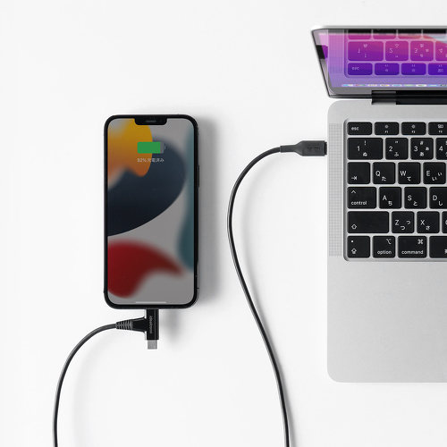 AppleのMFi認証を取得している「500-IPLM030BK」