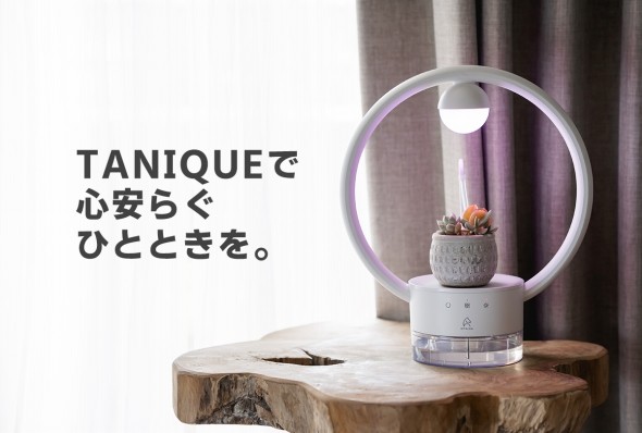 多肉植物を飾るテーブルランプ "TANIQUE"