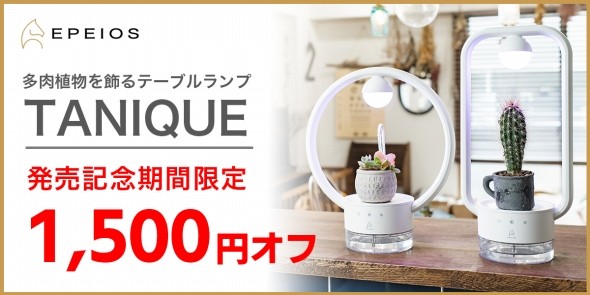 多肉植物を飾るテーブルランプ "TANIQUE"