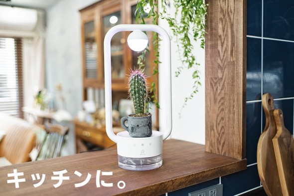 多肉植物を飾るテーブルランプ "TANIQUE"