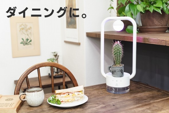 多肉植物を飾るテーブルランプ "TANIQUE"